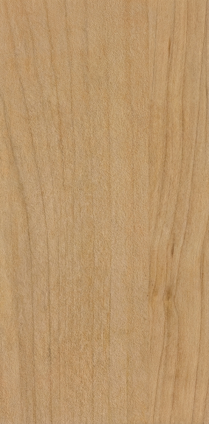 Bigleaf maple wood